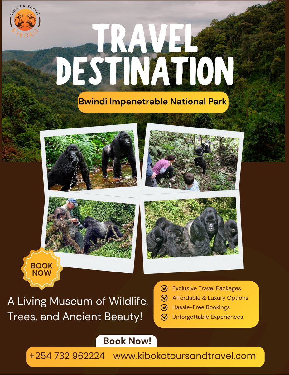 ToursKiboko's tweet photo. Bwindi Impenetrable National Park: A Living Museum of Wildlife, Trees, and Ancient Beauty!

Reach out https://t.co/YxuRyAHNdq

#BwindiNationalPark #KibokoTours #GorillaTrekkingExperience #UgandaTravel #ExploreUganda #WildernessExploration #NatureAtItsBest #WildlifePhotography https://t.co/3RA4Nobs7S