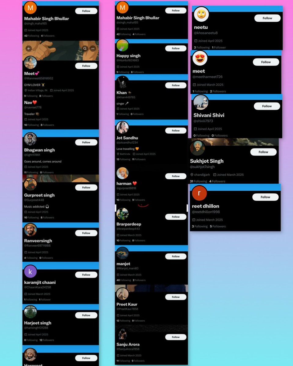 ਇਹ ਸਾਰੇ ਐਕਸ ਤੇ  ਮਾਰਚ ਅਪ੍ਰੈਲ 2025 ਚ ਬਣੇ ਹੋਏ ਅਕਾਂਊਟ ਹਨ ਜਿਹਨਾਂ ਦੇ ਨਾਂ ਤਾਂ ਫਾਲੋਅਰ ਹਨ ਨਾ ਐਕਟੀਵਿਟੀ ਲੱਗਦਾ ਸਾਰੇ ਦੇ ਸਾਰੇ ਨਕਲੀ ਹਨ। ਇਹਨਾਂ ਅਕਾਂਉਟਸ ਤੋ ਮੁੱਖ ਮੰਤਰੀ ਪੰਜਾਬ ਦੀਆਂ ਪੋਸਟਾਂ ਨੂੰ ਲਾਈਕ ਤੇ ਰੀਟਵੀਟ ਕੀਤਾ ਜਾ ਰਿਹਾ। ਹੁਣ ਨਕਲੀ ਲੋਕਾਂ ਸਹਾਰਾ ਲੈ ਕੇ ਕੰਮ ਚਲਾਇਆ ਜਾ ਰਿਹਾ ਕਿੳਕਿ ਅਸਲੀ ਲੋਕਾਂ ਨੂੰਅਸਲੀਅਤ ਪਤਾ ਹੈ।