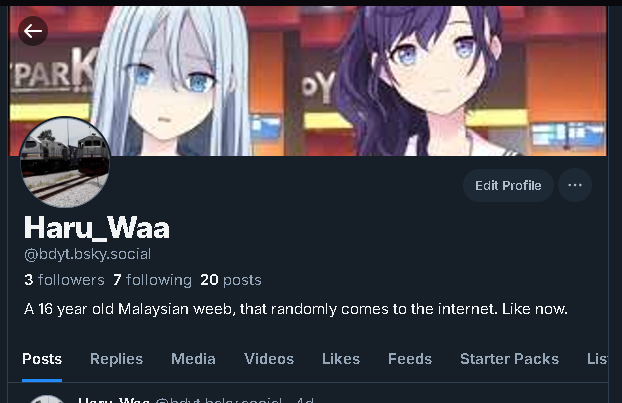 BlockyDotYT🇲🇾 tweet media