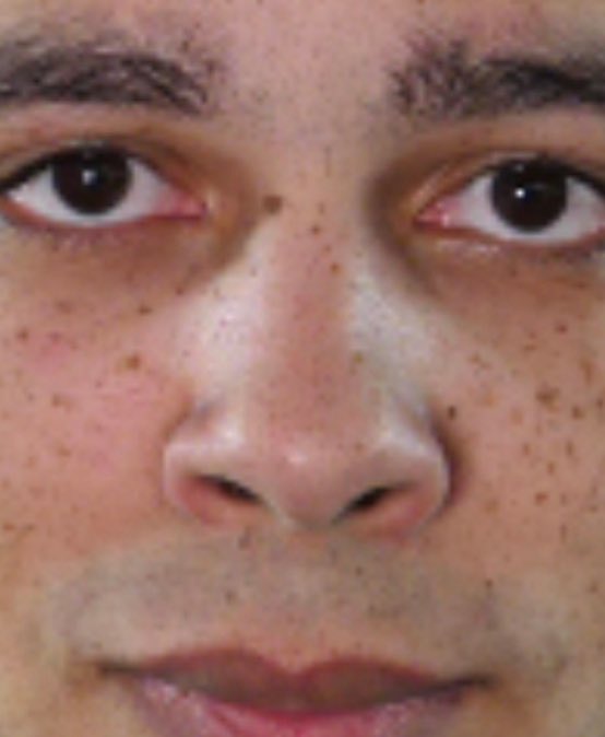 Lexall 2 tweet media