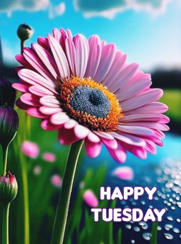 🌹Diane🌹 (@dianeelqueen) on Twitter photo Follow everyone who LIKES this🩷🩶🤍
Follow👉<a href="/italianostyle1/">Frankie *D*</a> <a href="/GRAHAM15583/">🅶🆁🅰🅷🅰🅼</a> <a href="/R1_Adv/">Ridwan R1🇮🇩</a> <a href="/tnmuda/">Tn Muda</a> <a href="/PriSilSt/">🤍 SILVI 🤍🤍🤍</a> <a href="/BrettMGWV/">brett</a> <a href="/Spencerjames211/">Spencer James #GAINWITHPETAL #TMPETAL #Teamspirit</a> <a href="/FlorMeninnaa/">Regina 🍭🍬</a> <a href="/StormResilient/">Belle Gosse ,American by Birth , Hawaii</a> <a href="/tnmuda/">Tn Muda</a> <a href="/ProximalK58/">Khan</a> <a href="/_ALESXIA/">꒰ ͜͡➸ 🔴 A̫̫L̫̫E̫̫S̫̫X̫̫I̫̫A̫̫ ꒰ ͜͡➸🔴</a> <a href="/tatysolcito/">💖 Tati Solcito 💖⭐⭐⭐</a> <a href="/Luisa1E/">Luisa Elena 🌹Luisa🌷</a> <a href="/Spencerjames211/">Spencer James #GAINWITHPETAL #TMPETAL #Teamspirit</a> <a href="/lqlql0/">amal</a> <a href="/Baloch_786_/">AB Zehri 13K</a> <a href="/SmartMom_1/">⋆★ 🌹𝒮𝓂𝒶𝓇𝓉 𝑀❤𝓂 🌹 ★⋆</a> <a href="/luis_montesinos/">Luis Miguel 🇪🇸💚 🇪🇦</a> Follow everyone who LIKES this🩷🩶🤍
Follow👉<a href="/italianostyle1/">Frankie *D*</a> <a href="/GRAHAM15583/">🅶🆁🅰🅷🅰🅼</a> <a href="/R1_Adv/">Ridwan R1🇮🇩</a> <a href="/tnmuda/">Tn Muda</a> <a href="/PriSilSt/">🤍 SILVI 🤍🤍🤍</a> <a href="/BrettMGWV/">brett</a> <a href="/Spencerjames211/">Spencer James #GAINWITHPETAL #TMPETAL #Teamspirit</a> <a href="/FlorMeninnaa/">Regina 🍭🍬</a> <a href="/StormResilient/">Belle Gosse ,American by Birth , Hawaii</a> <a href="/tnmuda/">Tn Muda</a> <a href="/ProximalK58/">Khan</a> <a href="/_ALESXIA/">꒰ ͜͡➸ 🔴 A̫̫L̫̫E̫̫S̫̫X̫̫I̫̫A̫̫ ꒰ ͜͡➸🔴</a> <a href="/tatysolcito/">💖 Tati Solcito 💖⭐⭐⭐</a> <a href="/Luisa1E/">Luisa Elena 🌹Luisa🌷</a> <a href="/Spencerjames211/">Spencer James #GAINWITHPETAL #TMPETAL #Teamspirit</a> <a href="/lqlql0/">amal</a> <a href="/Baloch_786_/">AB Zehri 13K</a> <a href="/SmartMom_1/">⋆★ 🌹𝒮𝓂𝒶𝓇𝓉 𝑀❤𝓂 🌹 ★⋆</a> <a href="/luis_montesinos/">Luis Miguel 🇪🇸💚 🇪🇦</a>