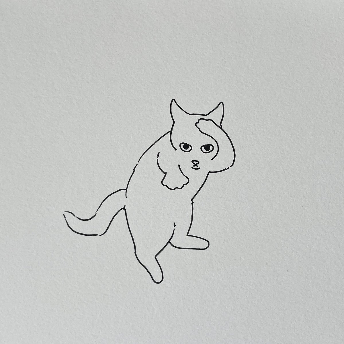 poorly drawn cats tweet media