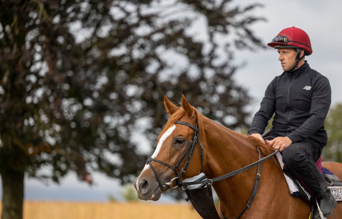Connolly's RED MILLS (@redmillshorse) on Twitter photo Happy retirement to the legend - Kyprios ๐
๐ฅ17 time winner
๐ฅ8 Group 1s
๐2 <a href="/Ascot/">Ascot Racecourse</a> Gold Cups
A brilliant stayer for <a href="/coolmorestud/">Coolmore</a> & <a href="/MoyglareStud/">Moyglare Stud</a>
#FeedYourDesireToWin Happy retirement to the legend - Kyprios ๐
๐ฅ17 time winner
๐ฅ8 Group 1s
๐2 <a href="/Ascot/">Ascot Racecourse</a> Gold Cups
A brilliant stayer for <a href="/coolmorestud/">Coolmore</a> & <a href="/MoyglareStud/">Moyglare Stud</a>
#FeedYourDesireToWin