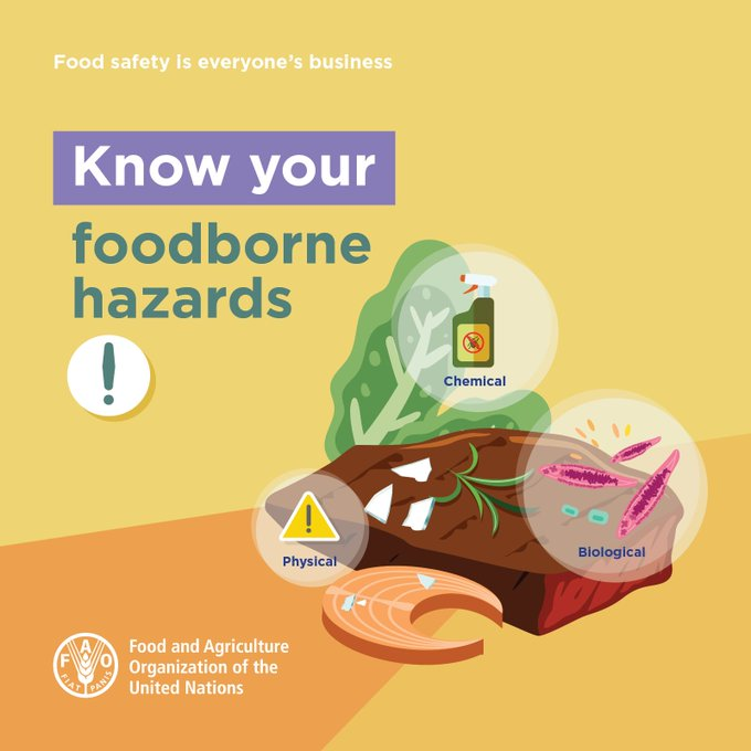 📝 | With an estimated 600 million cases of foodborne illnesses annually, unsafe food is a threat to human health and economies globally.

👉 Ensuring #FoodSafety is a public health priority and an essential step to achieving food security.

#WorldFoodSafetyDay