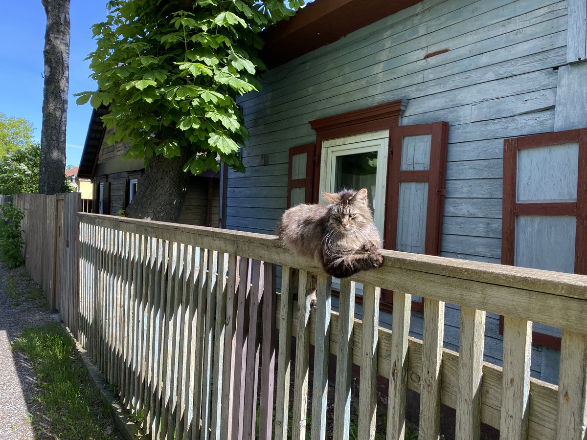 Ģirts Lapiņš 🇱🇻 🇺🇦 tweet media