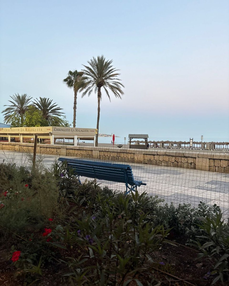 🌿 Renovación en el Paseo Marítimo Ciudad de Melilla

Con esta actuación se embellece la zona, se fomenta la biodiversidad y se crea un espacio más seguro y sostenible para el disfrute de vecinos y visitantes.

#distritocentro #malaga