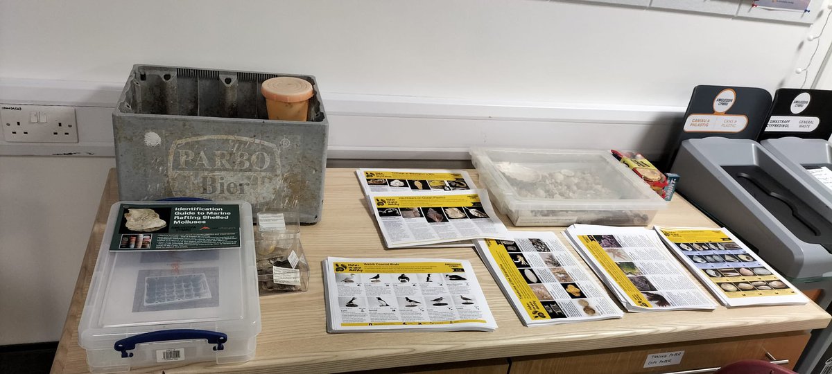 Cardiff Curator (@cardiffcurator) on Twitter photo Our curators are helping out with Lego workshops this week <a href="/Museum_Cardiff/">Amgueddfa Caerdydd</a>. They will be showing a wealth of specimens from our marine invertebrate collections <a href="/AmgueddfaCymru/">Amgueddfa Cymru | Museum Wales</a>. We can’t wait to talk about all the amazing things in the sea Our curators are helping out with Lego workshops this week <a href="/Museum_Cardiff/">Amgueddfa Caerdydd</a>. They will be showing a wealth of specimens from our marine invertebrate collections <a href="/AmgueddfaCymru/">Amgueddfa Cymru | Museum Wales</a>. We can’t wait to talk about all the amazing things in the sea