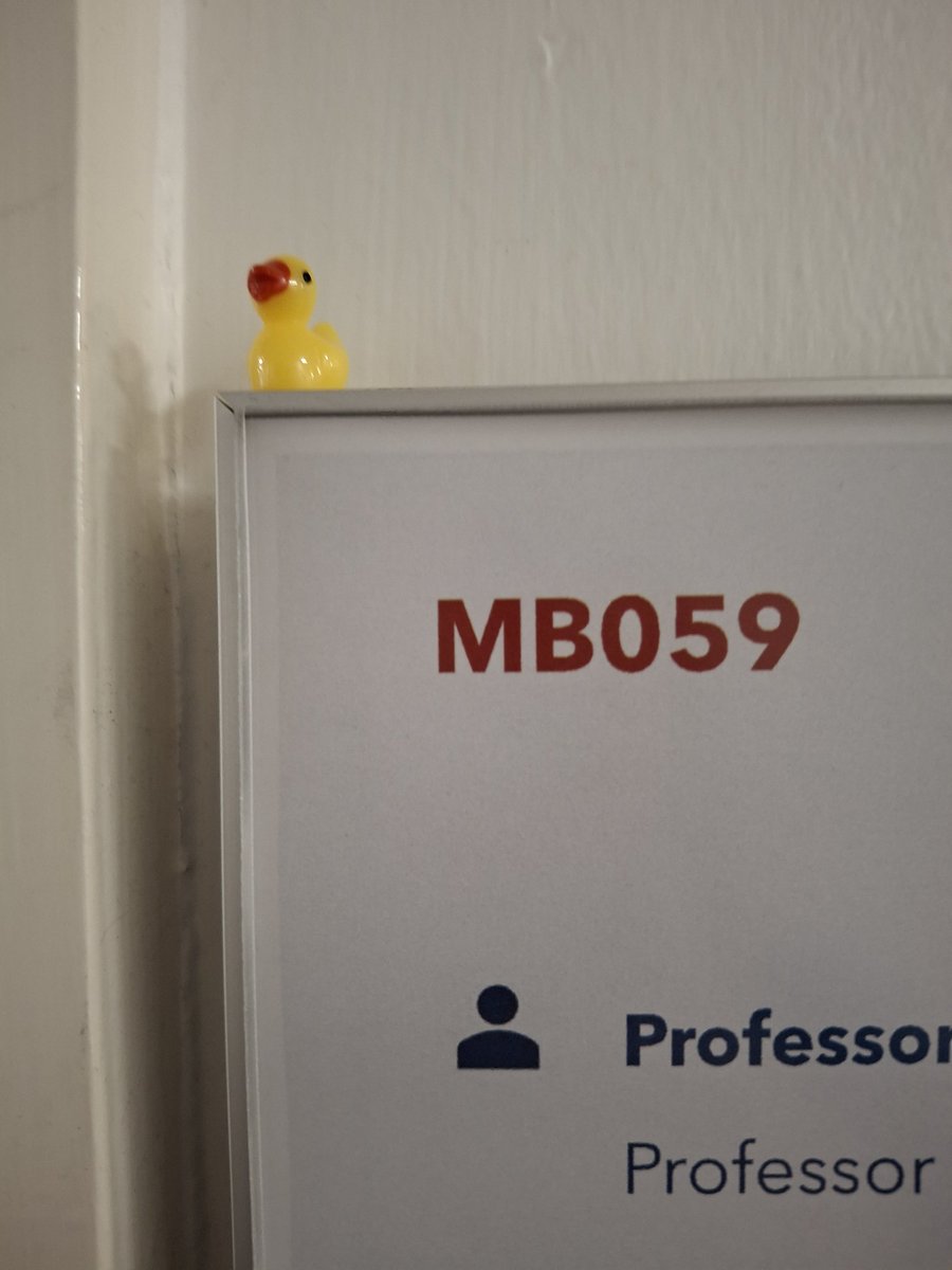 Found a little friend.. #cute