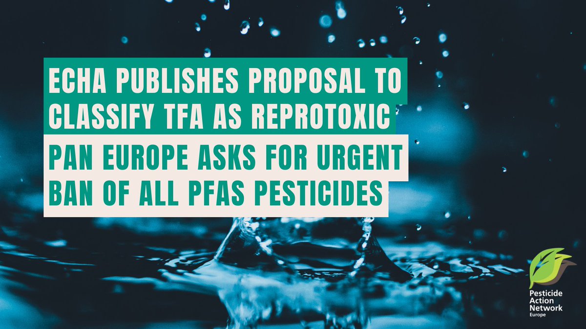 PAN Europe (@europepan) on Twitter photo The German proposal to classify #TFA as toxic to reproduction 1B was published by <a href="/EU_ECHA/">European Chemicals Agency - ECHA 🇪🇺</a>. An important step that makes this breakdown product of #PFAS #pesticides a 'relevant metabolite', which should be monitored & not allowed to end up in our #water.
pan-europe.info/press-releases… The German proposal to classify #TFA as toxic to reproduction 1B was published by <a href="/EU_ECHA/">European Chemicals Agency - ECHA 🇪🇺</a>. An important step that makes this breakdown product of #PFAS #pesticides a 'relevant metabolite', which should be monitored & not allowed to end up in our #water.
pan-europe.info/press-releases…