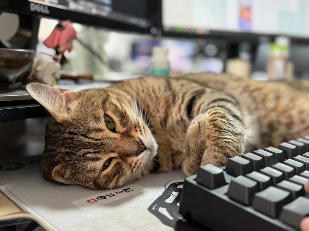 Turning the office cats (against their will) into pure inspiration 🐈

What inspires you throughout the day?