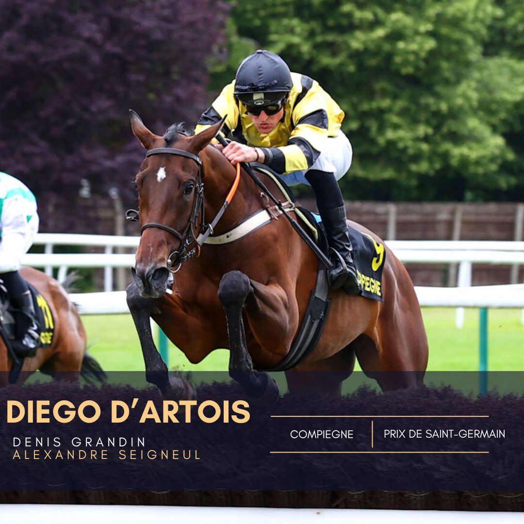 Hugo Merienne (@hmerienneracing) on Twitter photo 🥇DIEGO D’ARTOIS s’impose dans le Prix de Saint-Germain à <a href="/HippoCompiegne/">Hippodrome Compiègne</a> sous la selle de <a href="/seigneul/">seigneul alexandre</a> pour le propriétaire Denis Grandin. Félicitations à son entourage et bravo à l’équipe! 🥂
#winner #racehorses #nationalhunt #hugomerienneracing 🥇DIEGO D’ARTOIS s’impose dans le Prix de Saint-Germain à <a href="/HippoCompiegne/">Hippodrome Compiègne</a> sous la selle de <a href="/seigneul/">seigneul alexandre</a> pour le propriétaire Denis Grandin. Félicitations à son entourage et bravo à l’équipe! 🥂
#winner #racehorses #nationalhunt #hugomerienneracing