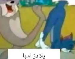 Mohammed Sultan tweet media