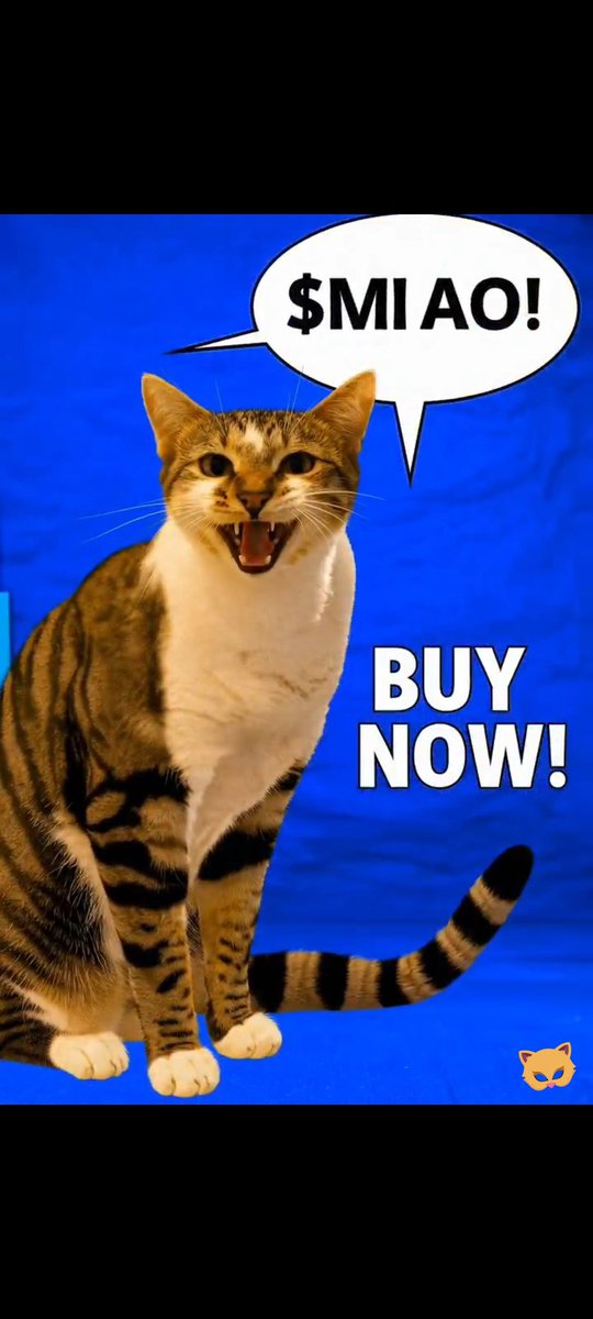 CATS COIN ( $MIAO ) tweet media