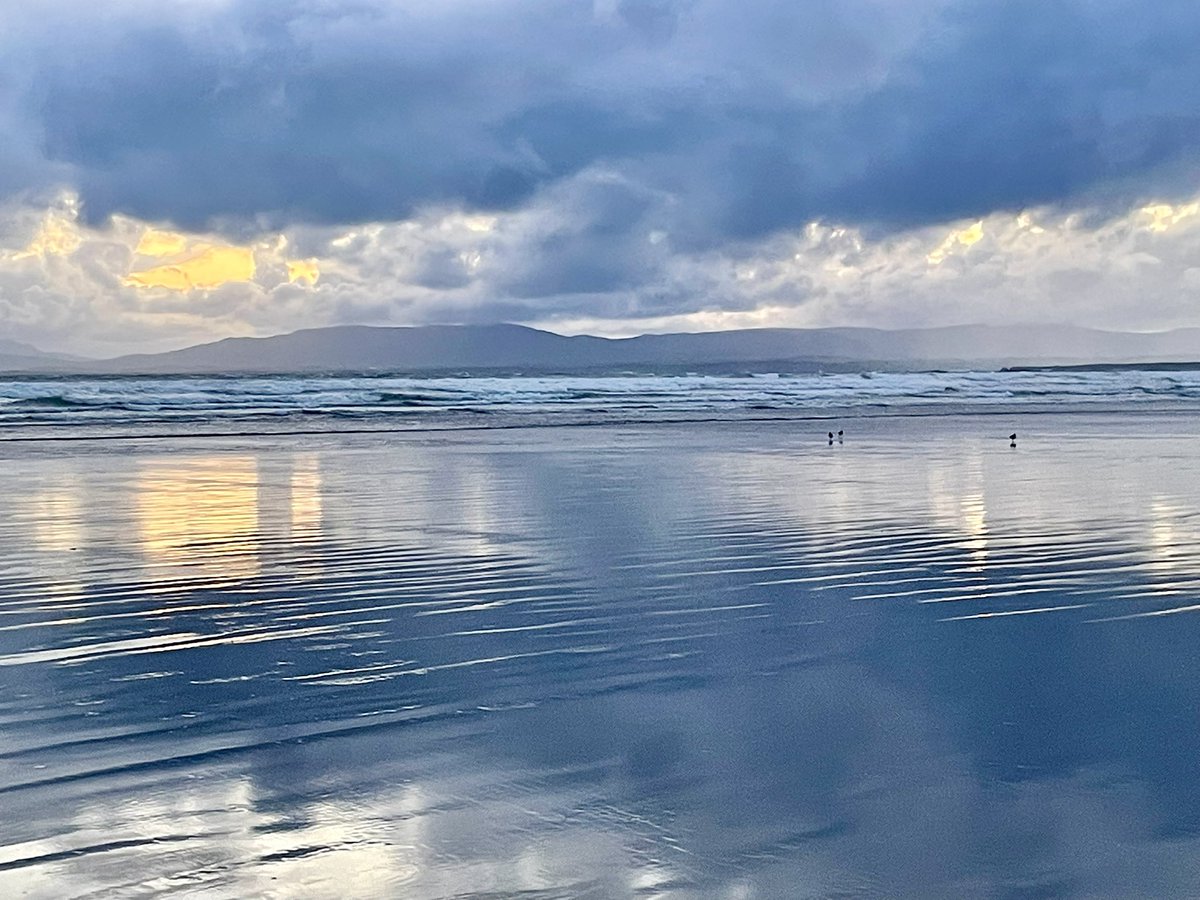 michael margey tweet media