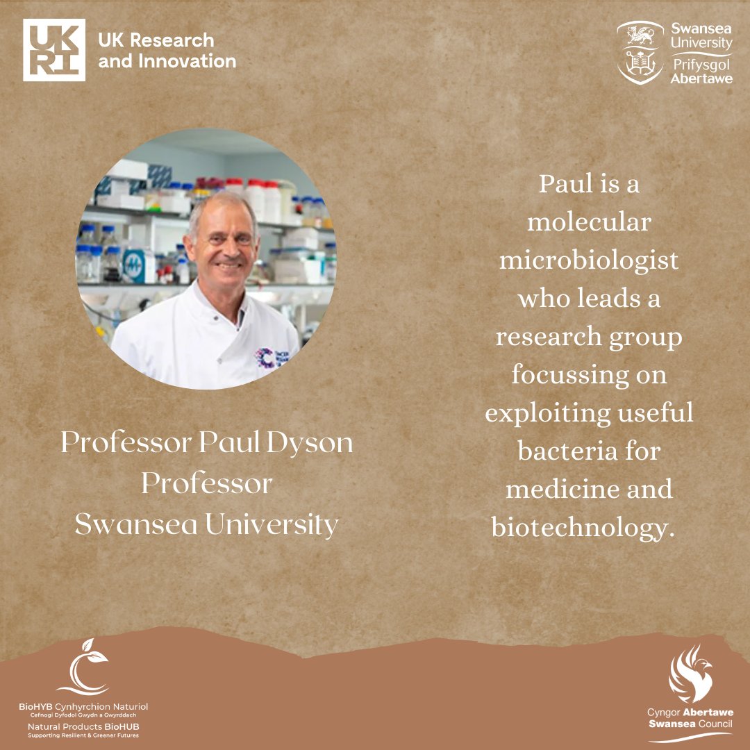 SwanseaBioHUB's tweet image. NP BioHUB - DOE 📚

Learn about #microbiology with Professor Paul Dyson!

Areas of expertise:
🧬 Genetics
💡 Gene manipulation of bacteria
🔎 Tumour-targeting bacteria
🔬 Gene expression analysis
🥼 Transposons in bacteria

Meet Paul &amp;gt;&amp;gt; bit.ly/3SsIzJ3

#UKRI #Bacteria