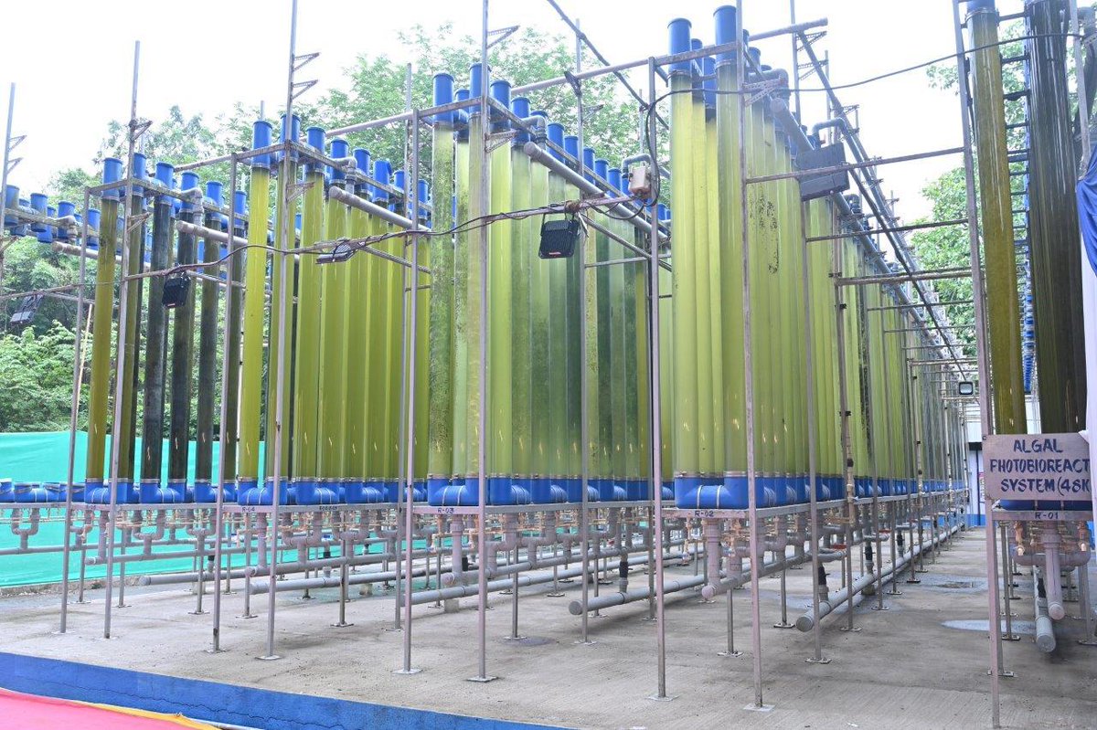 BPCLimited's tweet photo. BPCL marked a major step in sustainable innovation with the inauguration of a Photobioreactor-Based Municipal Liquid Waste (MLW) treatment pilot plant at its Chembur colony. 

Developed in partnership with DBT-ICT Mumbai, the 0.2 MLD facility harnesses green algae technology to treat locally generated waste and recycle water for non-potable uses like gardening and fire safety—reducing reliance on municipal sources.

The ceremony was inaugurated by Padma Vibhushan Prof. M M Sharma (former Director, UDCT) in the presence of Padma Bhushan Prof. J B Joshi, Prof. A B Pandit (VC, ICT), Dr. Alka Sharma (DBT), and Dr. Sangita Kasture (MNRE). From BPCL, Shri Abhai Raj Singh Bhandari (ED, MR), Shri Chandrasekhar N (Head, R&D), and other senior leadership were present.

This initiative showcases the power of academia-industry collaboration and BPCL’s continued commitment to climate-positive solutions through green technology and resource conservation.

@PetroleumMin 
@HardeepSPuri 

#BPCL #Sustainability #WaterRecycling #GreenInnovation #Chembur #AlgaeTech #ClimateAction #BPCLRandD #SmartWaterManagement