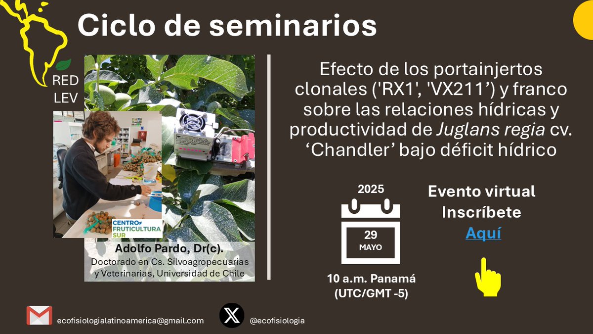 Red Latinoamericana de Ecofisiología Vegetal (@ecofisiologia) on Twitter photo Nuestro próximo seminario #REDLEV es este jueves 29 de mayo. Adolfo Pardo nos hablará sobre el efecto de portainjertos en las rel. hídricas y productividad del nogal. Regístrate aquí reuna.zoom.us/meeting/regist… <a href="/carlos_aucique/">Carlos E. Aucique-Perez</a> <a href="/MarcoGarridoSa1/">Marco Garrido</a> Nuestro próximo seminario #REDLEV es este jueves 29 de mayo. Adolfo Pardo nos hablará sobre el efecto de portainjertos en las rel. hídricas y productividad del nogal. Regístrate aquí reuna.zoom.us/meeting/regist… <a href="/carlos_aucique/">Carlos E. Aucique-Perez</a> <a href="/MarcoGarridoSa1/">Marco Garrido</a>