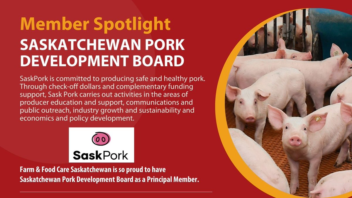 🌟 MEMBER SPOTLIGHT
We're proud to shine a light on  <a href="/SaskPork/">Sask Pork</a>  a Principal Member of Farm &amp; Food Care Saskatchewan! 🐖
SaskPork's vision is to help producers achieve excellence in sustainable and profitable pork production.
👉 saskpork.com/meet-sask-pork