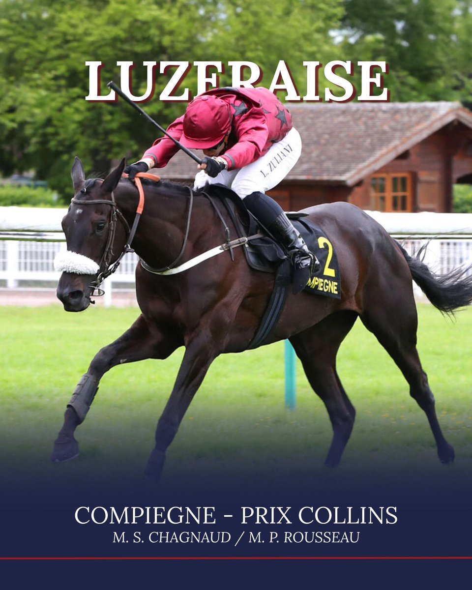 NathanVergne🇫🇷📯 tweet media