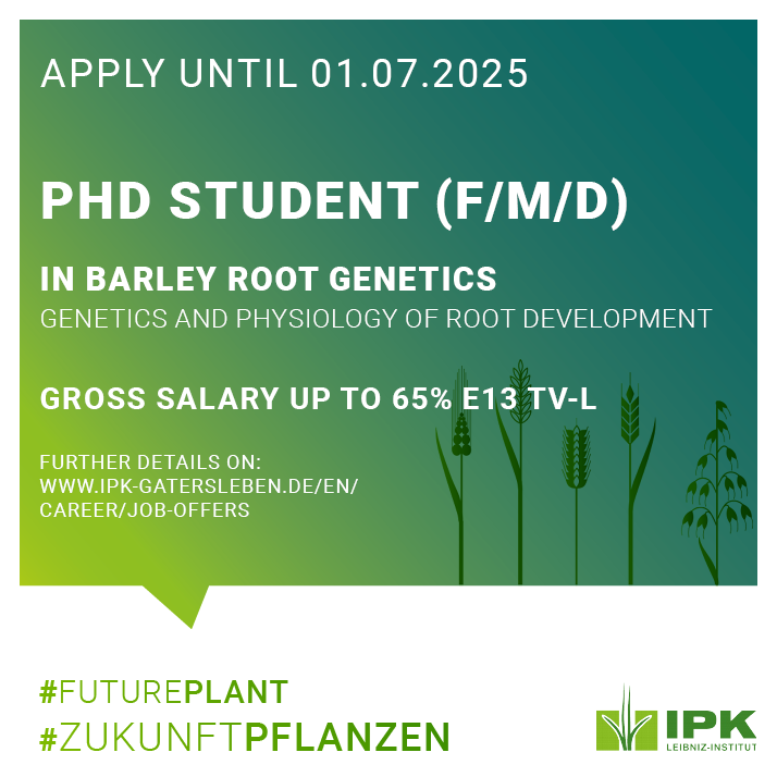 Leibniz IPK (@leibnizipk) on Twitter photo The research group "Genetics and Physiology of Root Development" at <a href="/LeibnizIPK/">Leibniz IPK</a> studies crop root anatomical and architectural traits. If you hold a MSc in plant science, crop science, or biology we have a great job offer!
➡️Read more: tinyurl.com/5ckytm8v The research group "Genetics and Physiology of Root Development" at <a href="/LeibnizIPK/">Leibniz IPK</a> studies crop root anatomical and architectural traits. If you hold a MSc in plant science, crop science, or biology we have a great job offer!
➡️Read more: tinyurl.com/5ckytm8v
