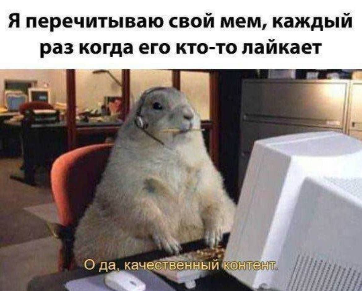 на фото я