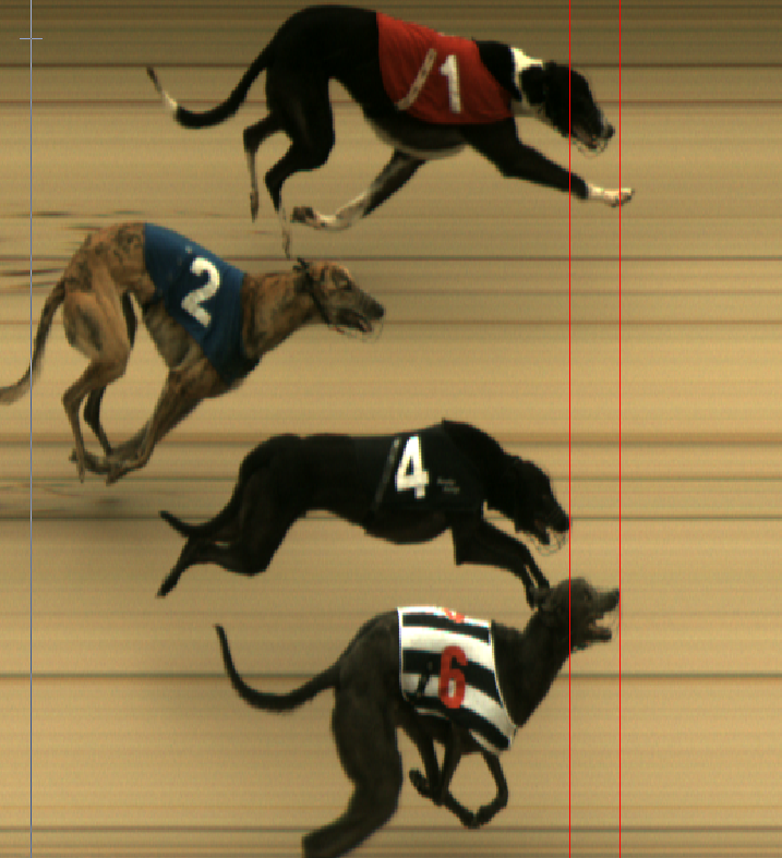 Tuesday 27th May - Race 8 (A9)
Photofinish📸
Winner Trap 6 - Whisky Glasses🥇
Second Trap 1 - Casino Brody🥈
Third Trap 4 - Yankee Tipp🥉
Winning Time = 29.04⏰