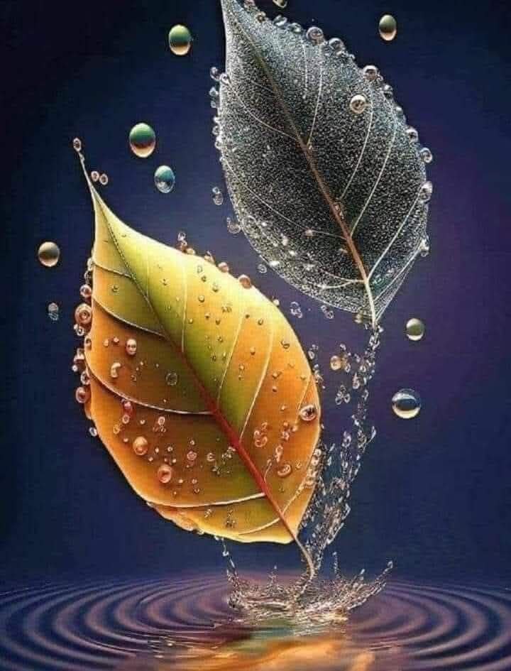 bo0o330's tweet image. شكرا لمن قال لنا: "أنا معك"..
تلك الجملة المريحة التي تزيل نصف التعب الذي نحمله..
شكرا لمن لفظها صادقا بها..
شكرا لمن يجد رفقتنا جميلة، حتى عندما يكون مزاجنا سيئا..