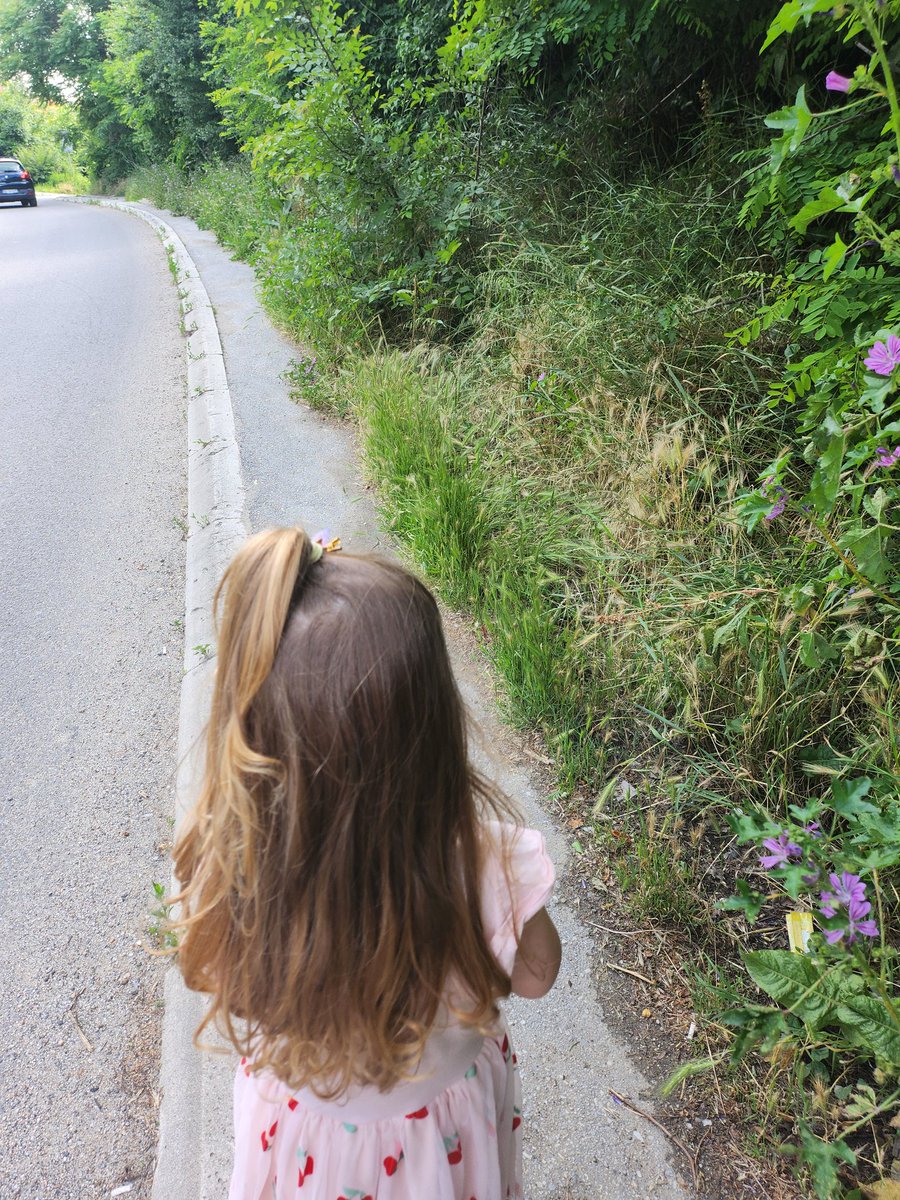 Deo jedinog "trotoara" na putu od vrtica kojim prolazimo svaki dan sa decom u Bul. oslobodjenja pre Malog vikenda, iz pravca Trlić prodavnice <a href="/prijaviproblem/">Prijavi problem</a>  kolicima ili sa dvoje dece proci je misaona imenica #prijaviproblem <a href="/prijaviproblem/">Prijavi problem</a>