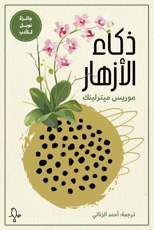 هيا نقرأ tweet media