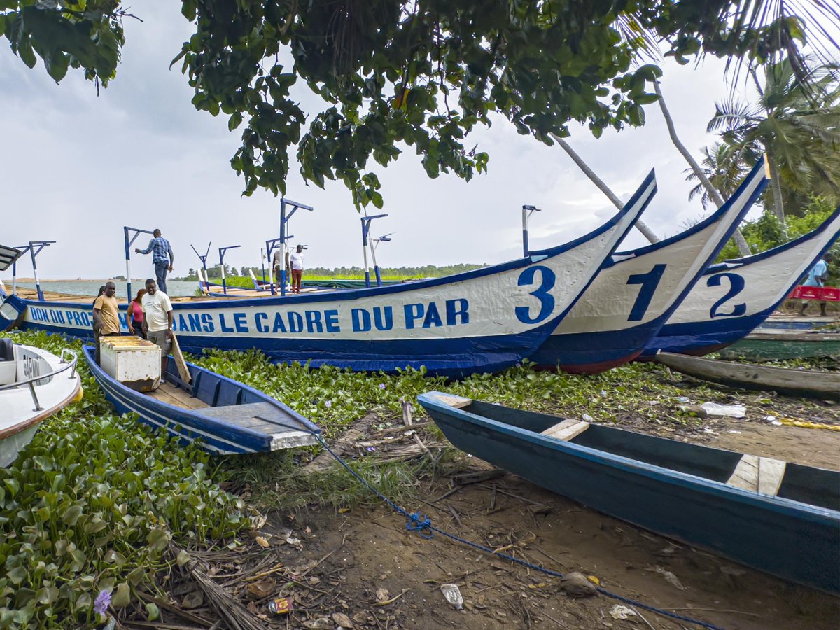 wacaprogram's tweet image. À Grand-Lahou, 4 pirogues motorisées remises à 3 coopératives par le projet WACA pour relancer la pêche artisanale et renforcer les moyens de subsistance.
#WACA_program #PêcheDurable #GrandLahou
🔗wacaprogram.org/fr/article/gra…