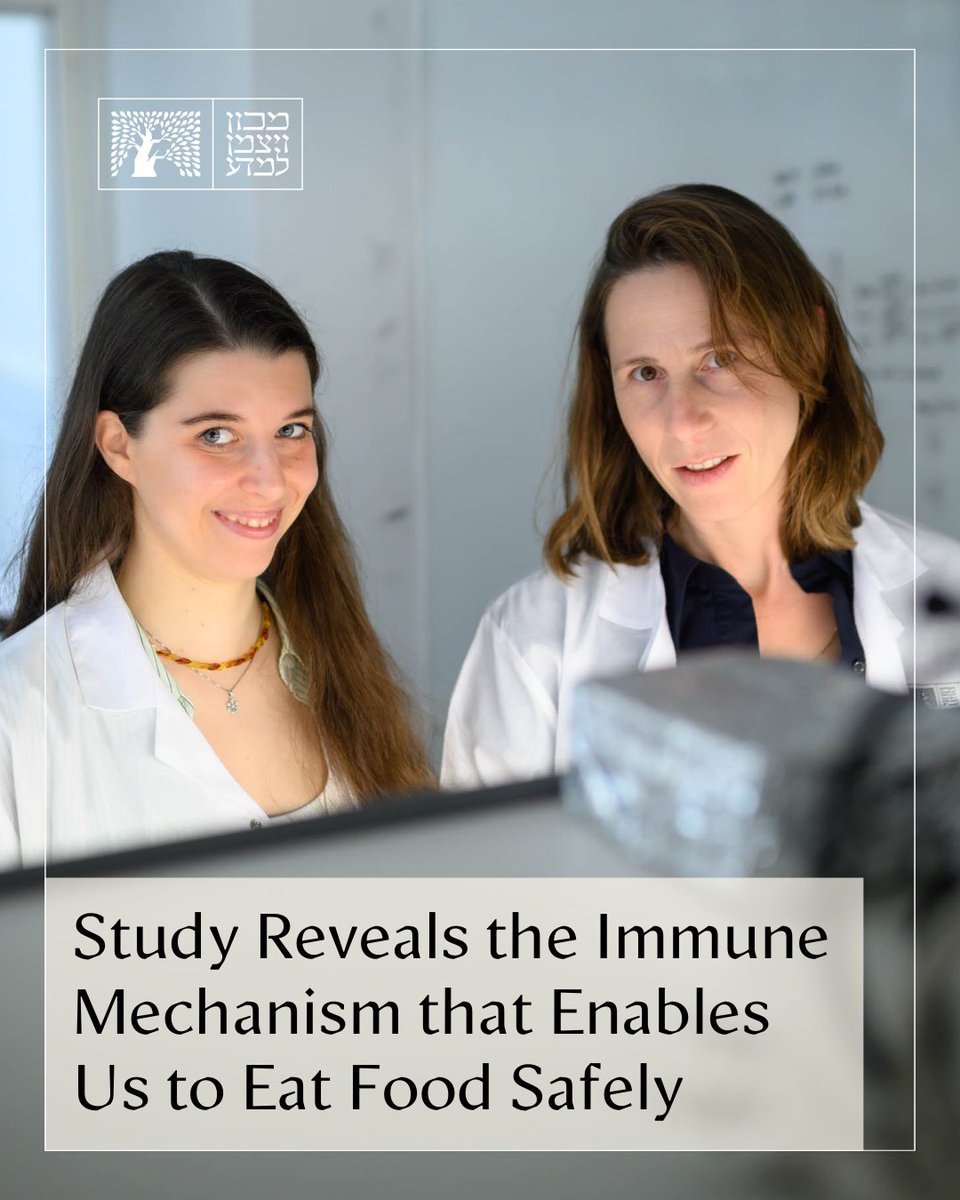 Weizmann Institute (@weizmannscience) on Twitter photo Researchers in Dr. Ranit Kedmi’s lab reveal the cellular network behind oral tolerance, the immune mechanism that enables us to eat food safely>> bit.ly/food-Eng
<a href="/KedmiRanit/">Ranit Kedmi</a> Researchers in Dr. Ranit Kedmi’s lab reveal the cellular network behind oral tolerance, the immune mechanism that enables us to eat food safely>> bit.ly/food-Eng
<a href="/KedmiRanit/">Ranit Kedmi</a>