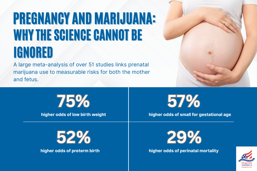 DrugFreeAmerica's tweet image. More people are turning to marijuana during pregnancy, but science continues to show the risks this entails. A sweeping review of over 21 million pregnancies reveals more about these risks. Follow the link to read more: dfaf.org/pregnancy-and-…
