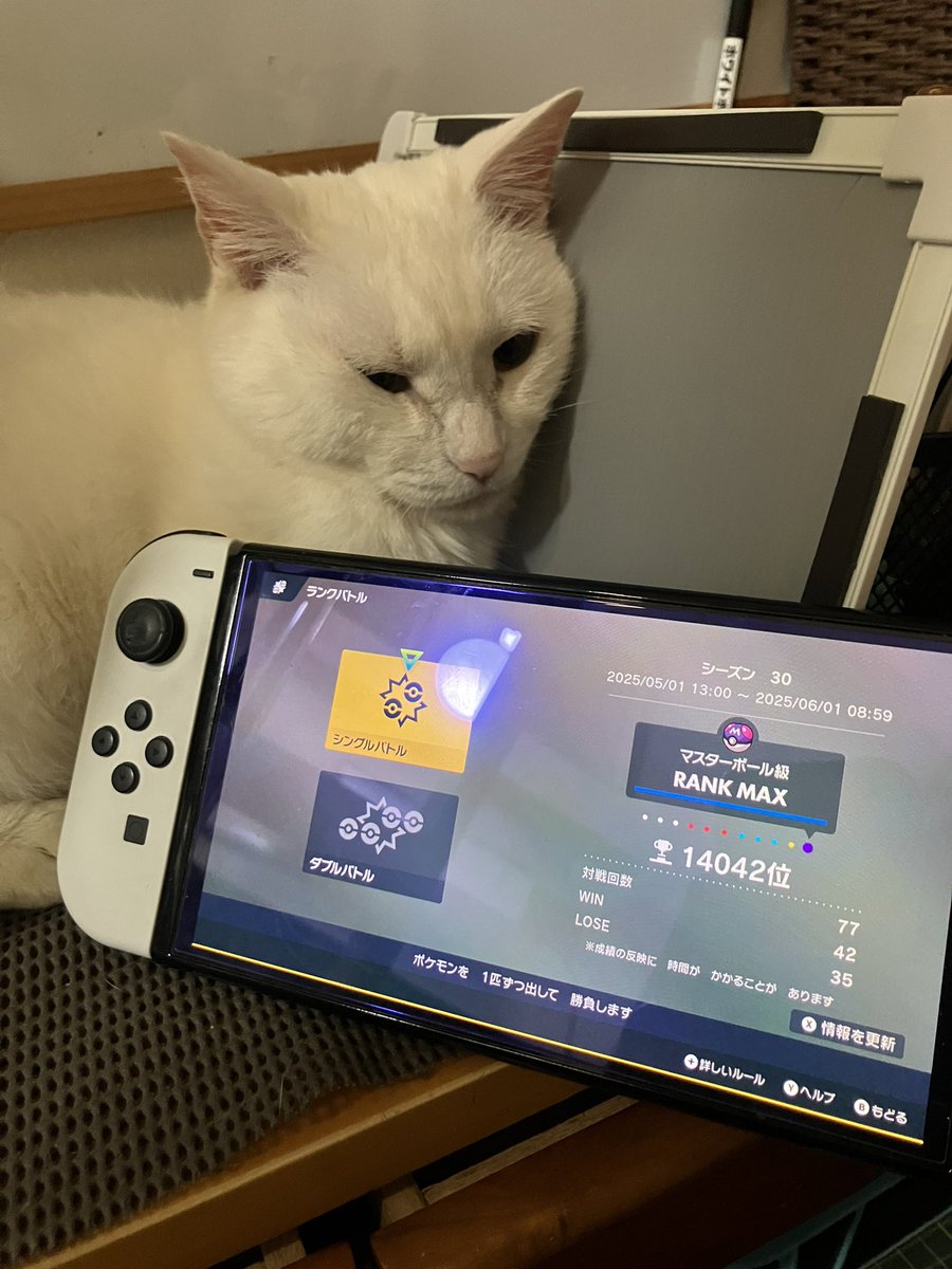 マスボ級やっといけた🤯🤯🤯