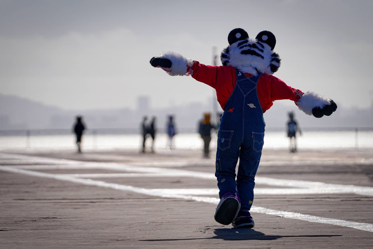 Love this candid shot of me pretending to be an airplane on the USS Hornet's runway at #GalacticCamp this weekend!
📸 <a href="/trixx_rx/">Trix</a>  
🪡 (head) <a href="/SiegeDaWolfsky/">Siege@Megaplex,AFC,BLFC,PawCon2025</a>