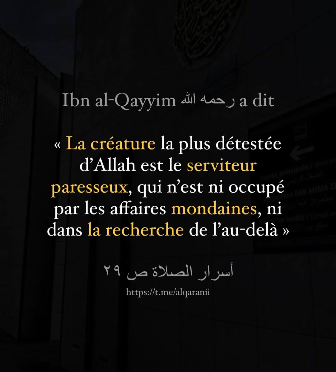 moussa_tawhid's tweet photo. https://t.co/n2jISvfQir