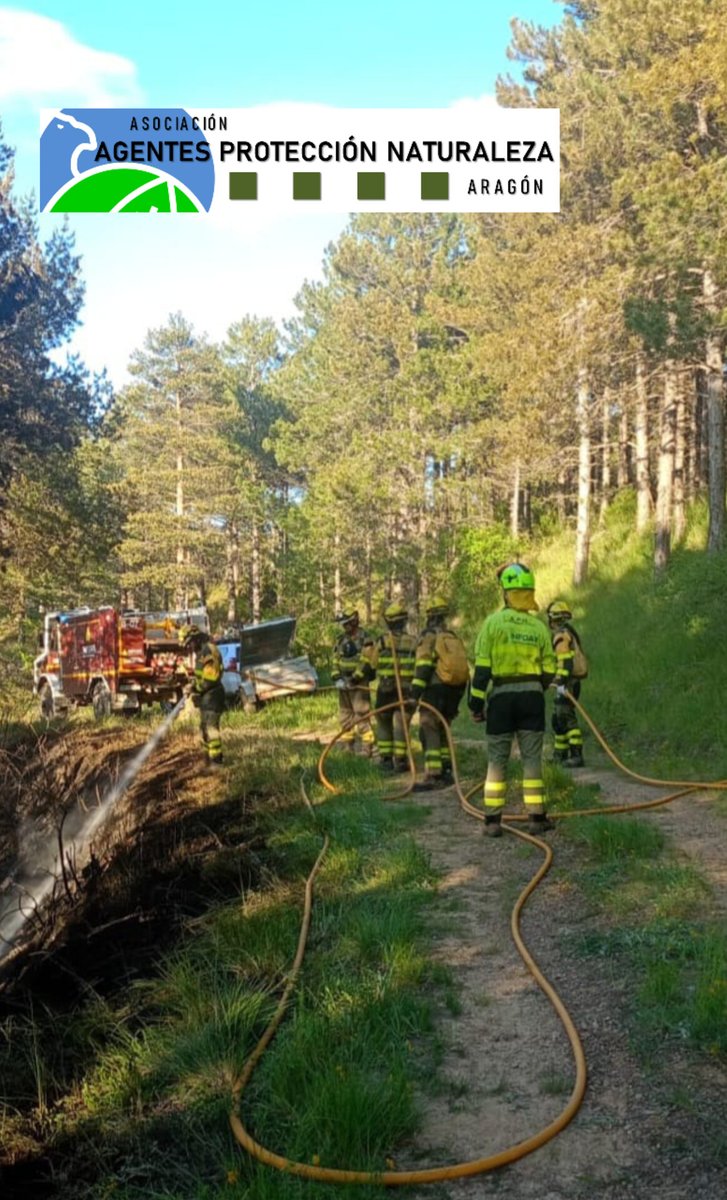 Todo y que hemos tenido una primavera bastante abundante de lluvias ⛈️ y la humedad del combustible es alta. Ayer tuvimos un incendio 🔥que calcinó 3.000m2 en la localidad de Montalbán.