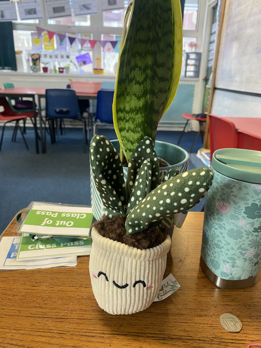 Mrs Kirkhope & R12 (@mrsjkirkhope) on Twitter photo Thank you A for this lovely little addition to our class 🪴
The sunflowers are doing great outside after all the rain and wind. First measurements will be taken next week! <a href="/LawmuirPS/">Lawmuir PS</a> Thank you A for this lovely little addition to our class 🪴
The sunflowers are doing great outside after all the rain and wind. First measurements will be taken next week! <a href="/LawmuirPS/">Lawmuir PS</a>