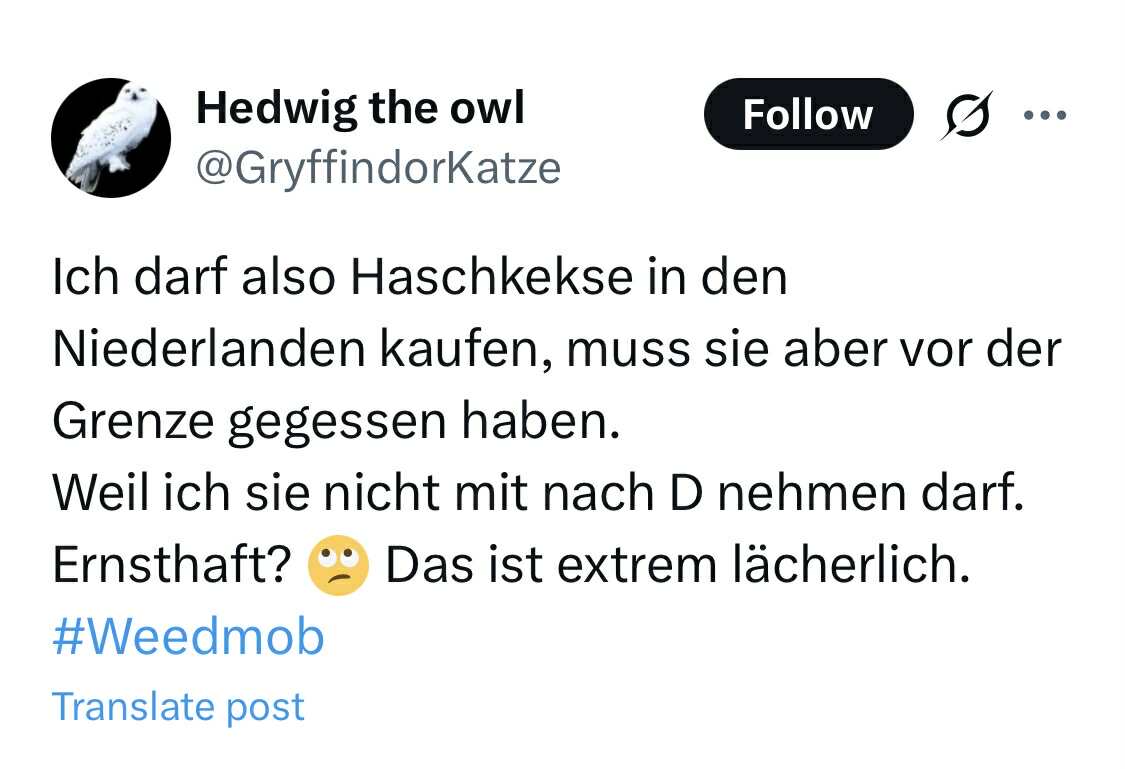 WARNUNG: BITTE FALLT NICHT AUF <a href="/GryffindorKatze/">Hedwig the owl🌈</a> SIE BETTELT WEIL SIE ANGEBLICH NIX MEHR ZU ESSEN UND TRINKEN HAT, KAUFT SICH IN WAHRHEIT ABER DROGEN VON EUREM GELD.
#ICHBINARMUTSTROFFEN #ARMUTSBETROFFEN #ICHBRAUCHEBITTE #FOODHELPER #SOZIALBETRUG #ARMUNDBESOFFEN
