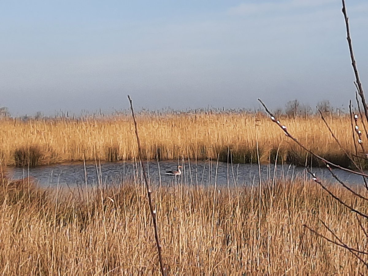 La santé et la sécurité sont les piliers d'une société harmonieuse. La prévention des maladies, la sécurité alimentaire et un environnement non pollué sont indispensables à nos démocraties occidentales.
