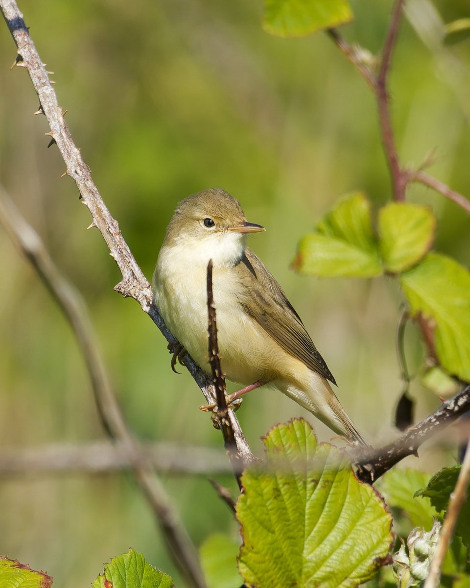 Pete Winn tweet media