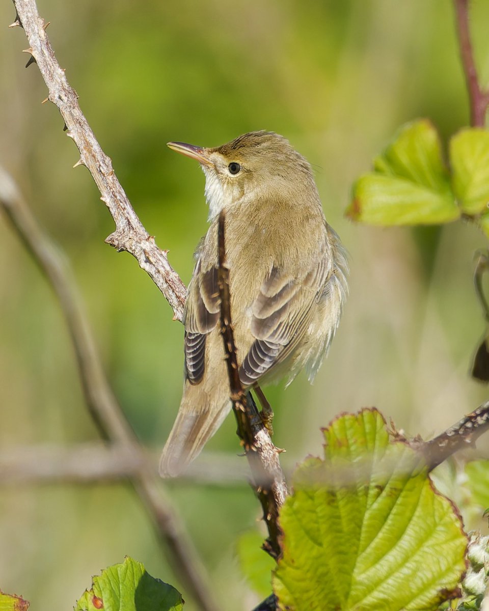 Pete Winn tweet media