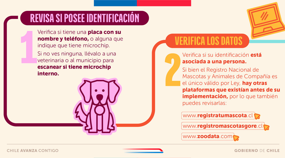 Tenencia Responsable tweet media