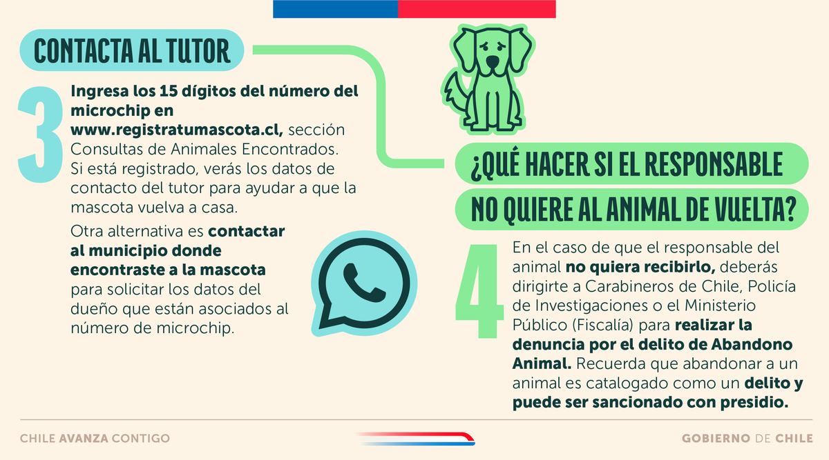 ¿Encontraste con una mascota perdida y no sabes qué hacer? Aquí te dejamos una guía rápida ¡Ayúdalos a volver a casa! 🐶🐱

👉👁️ Verifica que tu mascota esté identificada e inscrita en el Registro Nacional de Mascotas. Además, procura mantener tus datos actualizados.