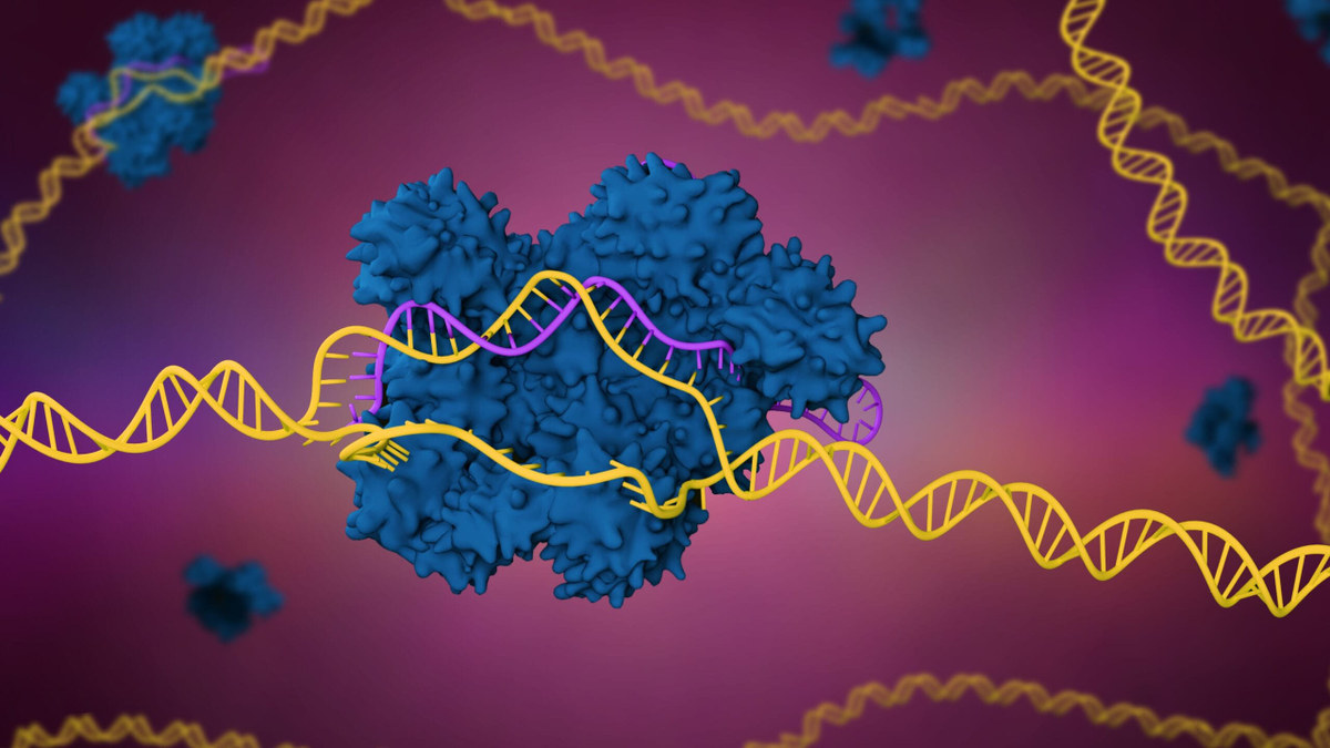 CRISPR explicado sin bata de laboratorio: cómo editar genes y no morir (ni matar) en el intento