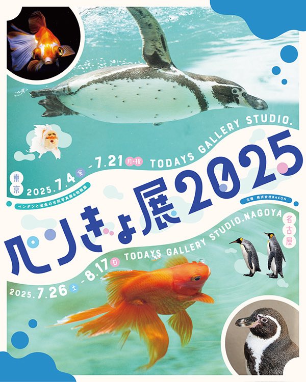 kobito_penguin's tweet image. ペンぎょ展2025に出展いたします🐧✨
今年も出展させていただけることになりました!
写真展示はモノクロやフィルムも加えていつもと少し違った構成にしてみたいと思います。
グッズは新作フィギュアを準備中です。少しずつお知らせしていきます🙇
#ペンぎょ展
#ペンぎょ展2025
#ペンギン
#penguin