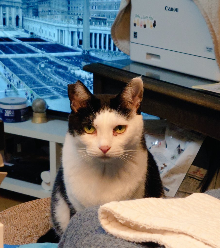 椹野道流🍣ﾌｼﾉﾐﾁﾙ on X