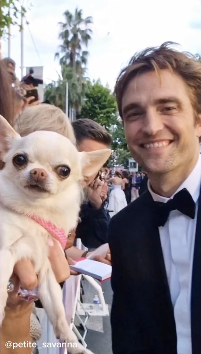 Robert Pattinson Photos | Fansite tweet media