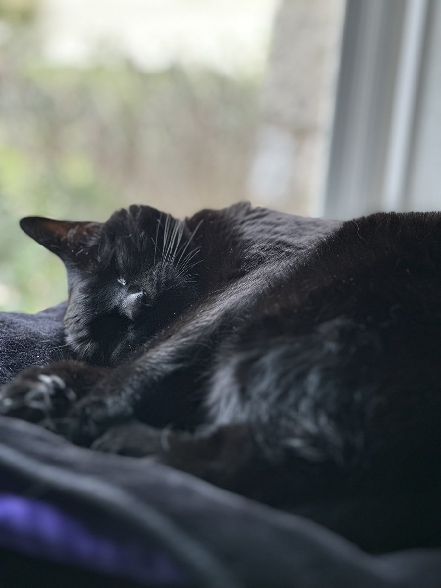 Blessing your timeline with a sleeping baby :3