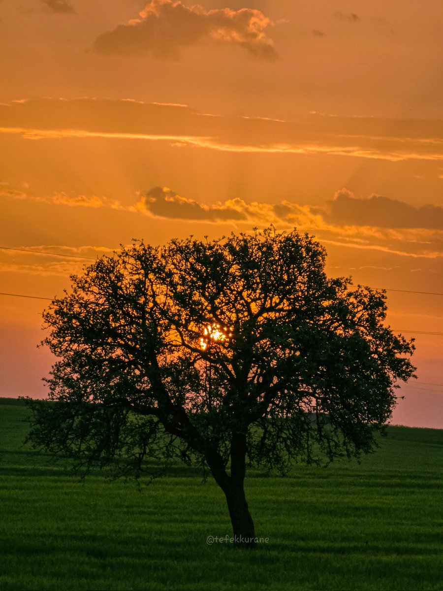 Muhsin ŞAHİN (@muhsinsahin65) on Twitter photo 