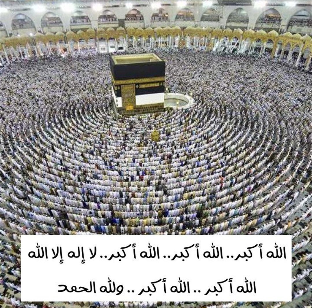 أسماء العدواني tweet media
